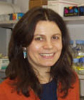 UNIL/Centre Pluridisciplinaire d'Oncologie
Expert in Membrane microdomains